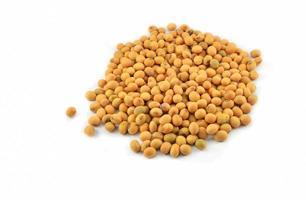 soybeans or soya beans grain seed on white background photo