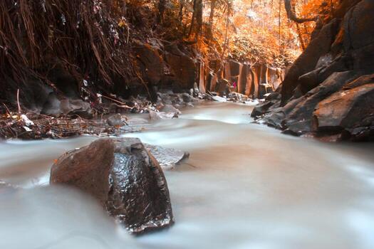 This is a beautiful photo of a stream of water flowing in a river in the village area.