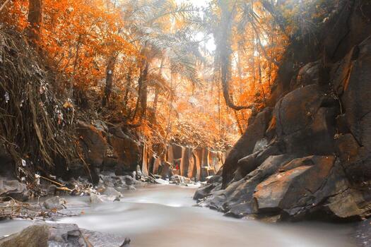 This is a beautiful photo of a stream of water flowing in a river in the village area.