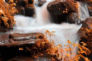 This is a beautiful photo of a stream of water flowing in a river in the village area.