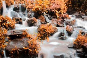 This is a beautiful photo of a stream of water flowing in a river in the village area.