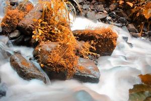 This is a beautiful photo of a stream of water flowing in a river in the village area.