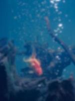 Blurred image of goldfish photo