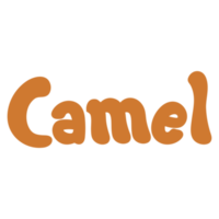 Camel Animal Name Lettering Concept on Transparent Background