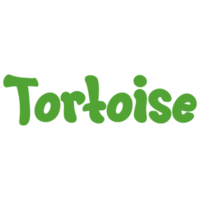 Tortoise Animal Name Lettering Concept on Transparent Background png