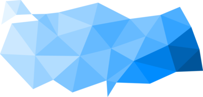 polygonale Truthahnkarte auf transparentem Hintergrund. png