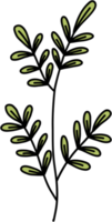 simplicity floral freehand drawing. png