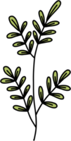 enkelhet blommig freehand teckning. png