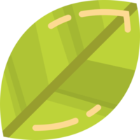 leaf illustration in minimal style png