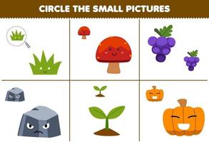 Education game for children circle the small picture of cute cartoon grass seed mushroom stone grape pumpkin printable nature worksheet vector