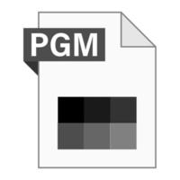 Modern flat design of PGM file icon for web vector