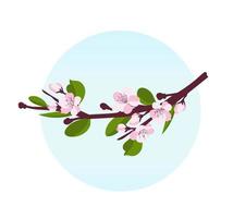 Cherry blossom. A branch with cherry blossoms isolated on a white background. Vector illustration