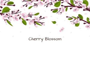 Background with cherry blossom. A branch with cherry blossoms isolated on a white background. Japanese sakura. Vector illustration