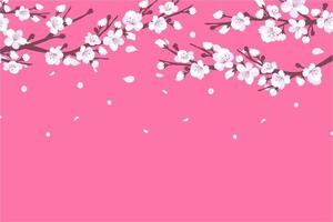 Background with cherry blossom. A branch with cherry blossoms isolated on a white background. Japanese sakura. Vector illustration