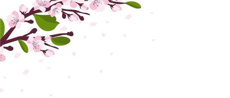 Background with cherry blossom. A branch with cherry blossoms isolated on a white background. Japanese sakura. Vector illustration