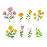 Multi-colored spring flowers bouquets of pink, yellow. A collection of different vector flowers for your spring designs.