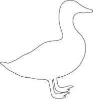 Duck contour animal nature. vector