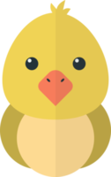 cute chick illustration in minimal style png