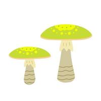 Death cap. retro mushrooms. Illustration for printing, backgrounds, covers and packaging. Image can be used for greeting cards, posters, stickers and textile. Isolated on white background. vector