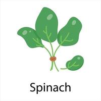 Trendy Spinach Concepts vector