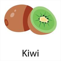 conceptos de kiwi de moda vector