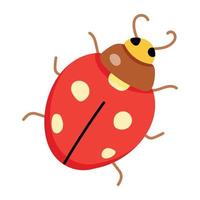 Trendy Ladybug Concepts vector