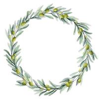 Watercolor Olive round Wreath with green leaves and fruits. Circle Frame for wedding invitations or greeting cards. Hand drawn floral illustration on isolated background. Botanical drawing of laurel vector