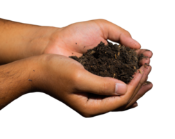 soil in hand isolated png