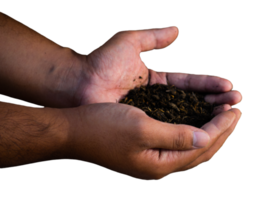 handful of soil for gardening png