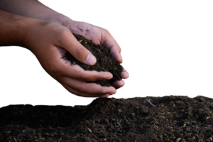 mãos segurando o solo para plantar sementes png