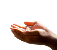 isolierte umgedrehte hand png