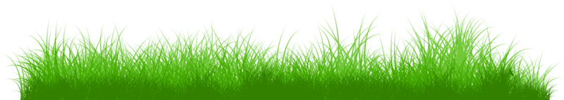 fond d'herbe png