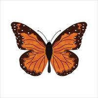 Monarch butterfly vector illustration stock illustration