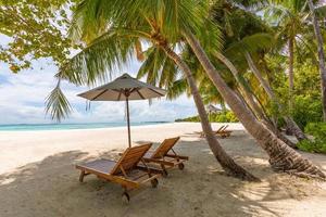 Tropical beach nature as summer landscape with lounge chairs and palm trees calm sea for beach relax banner. Luxury travel landscape, beautiful destination for vacation or holiday. Couple beach scenic