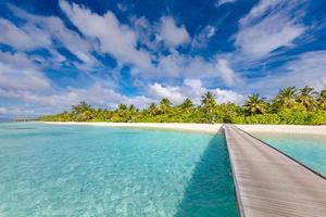 Beautiful tropical Maldives island with beach, exotic sea and coconut palm trees on blue sky for luxury nature holiday vacation background concept. Boost up color processing. Summer travel destination photo