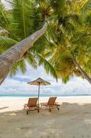 Tropical beach nature as summer landscape with lounge chairs and palm trees calm sea for beach relax banner. Luxury travel landscape, beautiful destination for vacation or holiday. Couple beach scenic