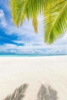 hermoso paisaje de viaje, naturaleza de playa soleada. hojas de palma y arena blanca cerca del mar azul. paisaje tropical, paisaje de playa para vacaciones de verano y pancarta de vacaciones. vista inspiradora de la naturaleza foto