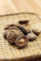 Dried Shitake or Hioko Mushroom, Jamur Shitake Kering photo