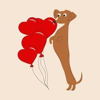 perro dachshund decora globos en forma de corazón sobre fondo blanco vector