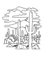 parque nacional saguaro en el sur de arizona dibujo de arte lineal monoline vector