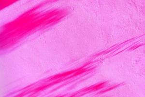 Shadow of leaves branches in wind show on the pink wall background. photo