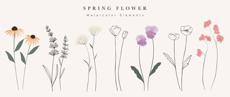 Watercolor hand drawn botanical vector set. Collection of abstract spring wild flowers, grass, leaf branch, floral leaves in minimal style. Design illustration for logo, wedding, invitation, decor