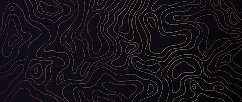 Luxury gold abstract line art background vector. Mountain topographic terrain map background with gold lines texture. Design illustration for wall art, fabric, packaging, web, banner, app, wallpaper. vector