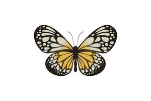 vector graphic of flying butterfly in a top view isolated on white background.