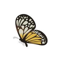 gráfico vectorial de mariposa con posición de percha aislada sobre fondo blanco. vector