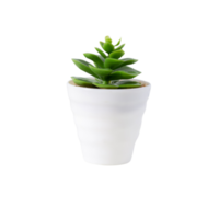 Houseplant in pot cutout, Png file