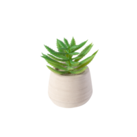 Houseplant in pot cutout, Png file