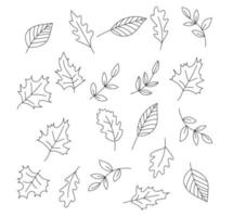 autumn leaves isolated Vector seamless pattern.