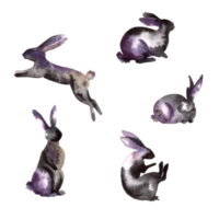 Hare bunny watercolor splash silhouettes Isolated on transparent. Hand drawn illustration png