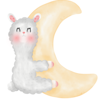 schattig alpaca lama illustratie png